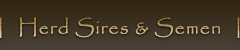 Herd Sires & Semen