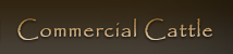 Commercial Cattle